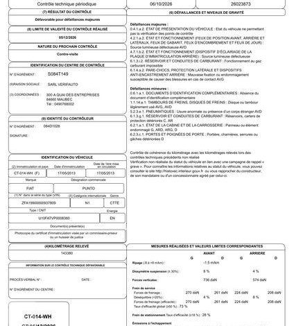 FIAT PUNTO ESS/GNV  CT-014-WH