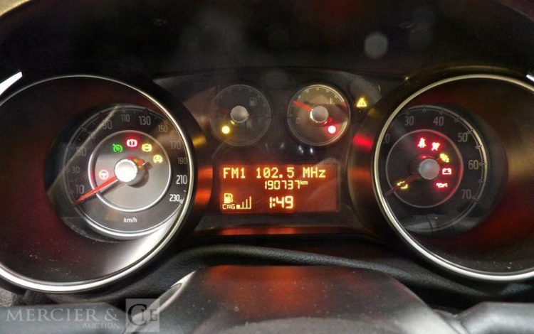 FIAT PUNTO ESS/GNV  CT-643-XX