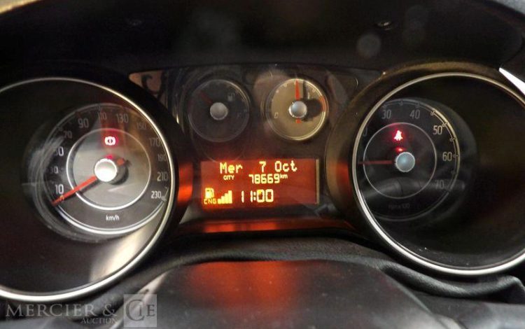 FIAT PUNTO ESS/GNV  CT-937-MS