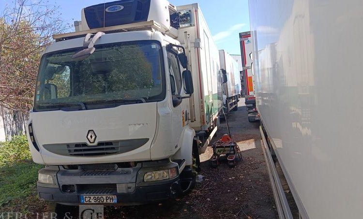 RENAULT 180DXI FRIGO/HAYON – EN DESIGNATION(93)  CZ-980-PH