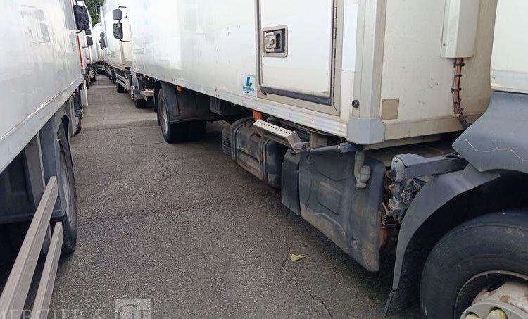 RENAULT D16 FRIGO/HAYON – EN DESIGNATION(93)  EH-211-FS